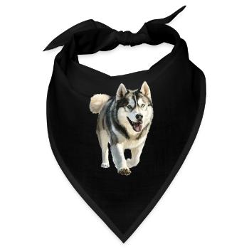 Alaskan Malamute - Bandana - Schwarz - Vorne