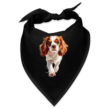 Cavalier King Charles - Bandana - Schwarz - Vorne