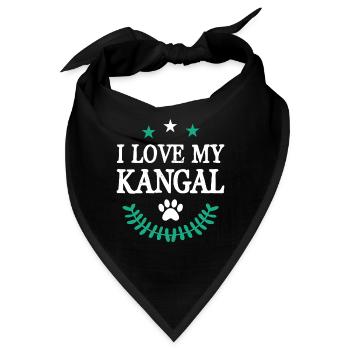 KANGAL - Bandana - Schwarz - Vorne