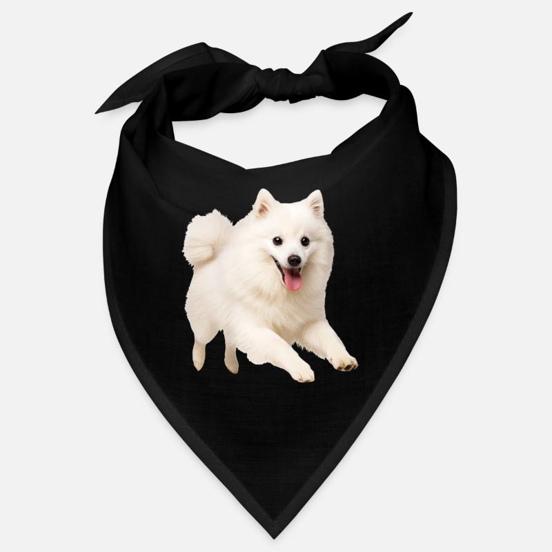 Spitz japonais Bandana