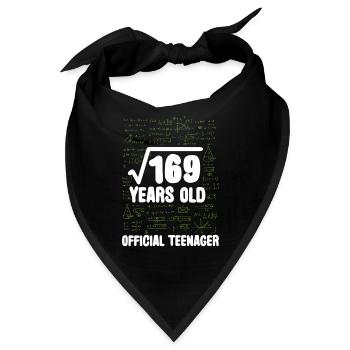 Mathe 13. Geburtstag Wurzel 169 Teenager - Bandana - Schwarz - Vorne