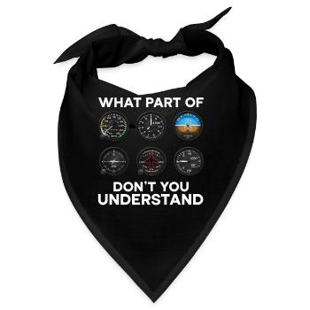 Flugzeug Flug Pilot Flugzeug Fluggesellschaft - Bandana - Schwarz - Vorne