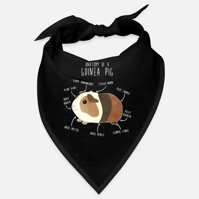 Meerschweinchenanatomie Bandana
