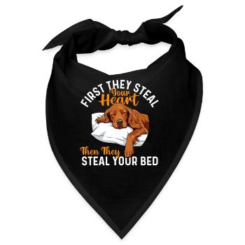Zuerst stehlen sie dein Herz – Irischer Zuspielerhund Papa - Bandana - Schwarz - Vorne