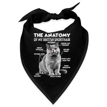 Britisch Kurzhaar Halter Geschenk Katzenmama - Bandana - Schwarz - Vorne
