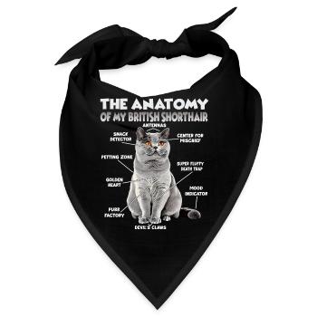 British Shorthair T| Britisch Kurzhaar Katzen - Bandana - Schwarz - Vorne
