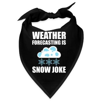 Lustige Wettervorhersage Klimaforscher - Bandana - Schwarz - Vorne