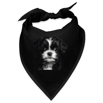 Shih Tzu - Bandana - Schwarz - Vorne