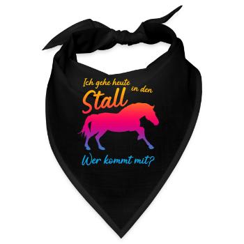 Haflinger Stall Pferd - Bandana - Schwarz - Vorne