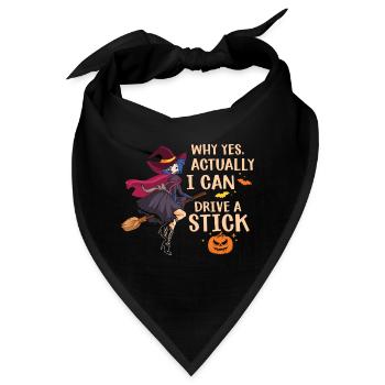 Warum Ja Eigentlich Kann Ich Einen Stock Fahren - Bandana - Schwarz - Vorne