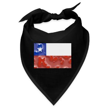 Chile - Bandana - Schwarz - Vorne