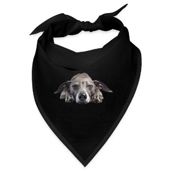 Italian Greyhound - Bandana - Schwarz - Vorne
