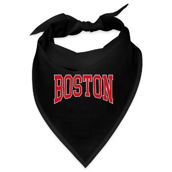 Boston - Bandana - Schwarz - Vorne