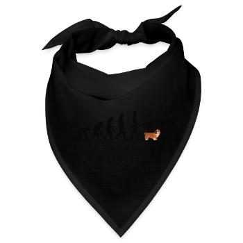 Havaneser - Bandana - Schwarz - Vorne