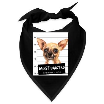 Chihuahua Most Wanted - Bandana - Schwarz - Vorne
