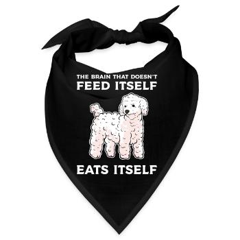 Pudel Hund Zwergpudel Toy Pudel Kleinpudel Welpe - Bandana - Schwarz - Vorne