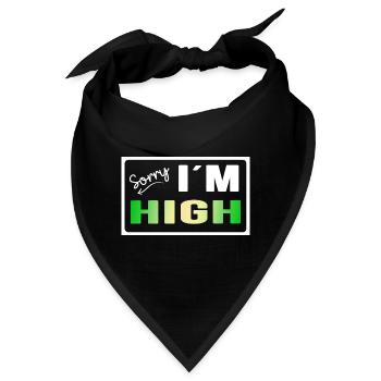 high legal chill-time Partyzone Rastafari - Bandana - Schwarz - Vorne