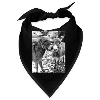 Zwei Esel - Bandana - Schwarz - Vorne
