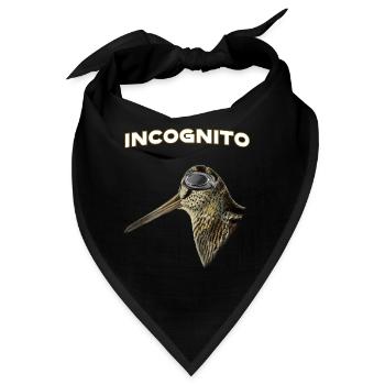 Jagd – Waldschnepfen-Fliegerbrille. Inkognito - Bandana - Schwarz - Vorne