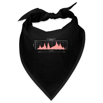 Alpenüberquerung Fernwanderweg E5 - Bandana - Schwarz - Vorne