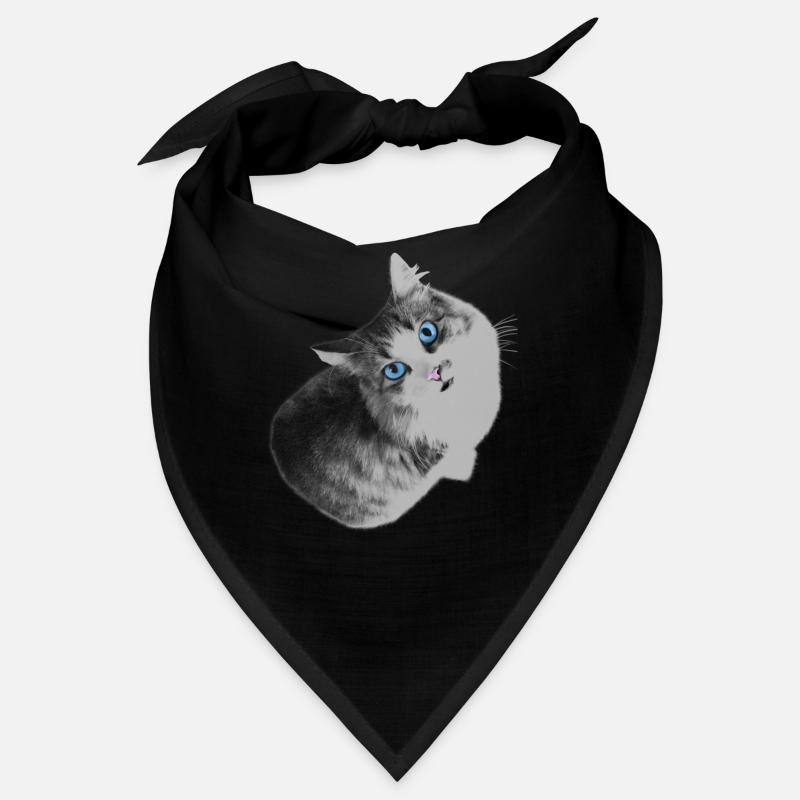 Maya le mignon chat au yeux bleus Bandana