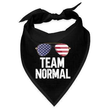 Team Normal - Bandana - Schwarz - Vorne