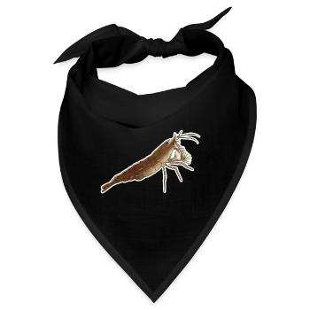 Bamboo Shrimp Pet Design für stolze Shrimp-Fans - Bandana - Schwarz - Vorne