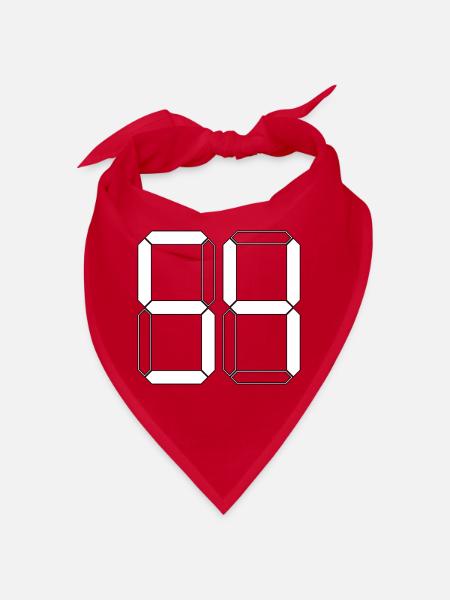 NUMMER 54 Vierundfünfzig Geschenk Digital - Bandana - Rot - Vorne