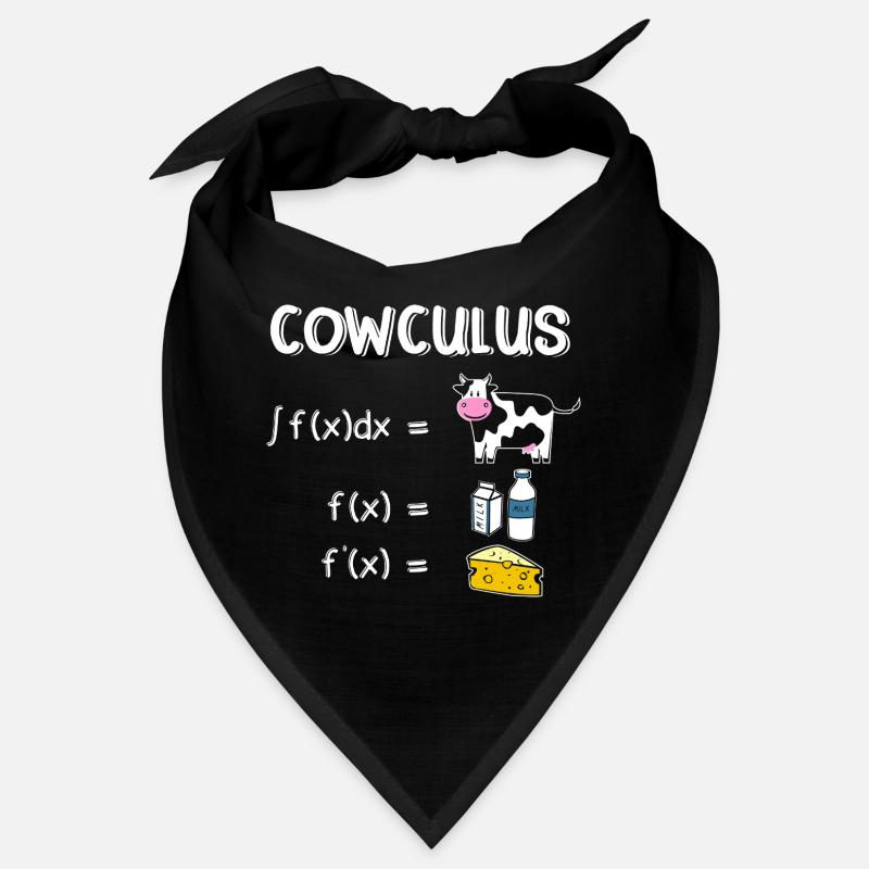 Funny Math Sayings Math Teacher Bandana