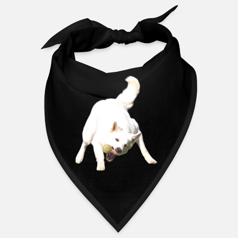 Attraper le ballon Bandana