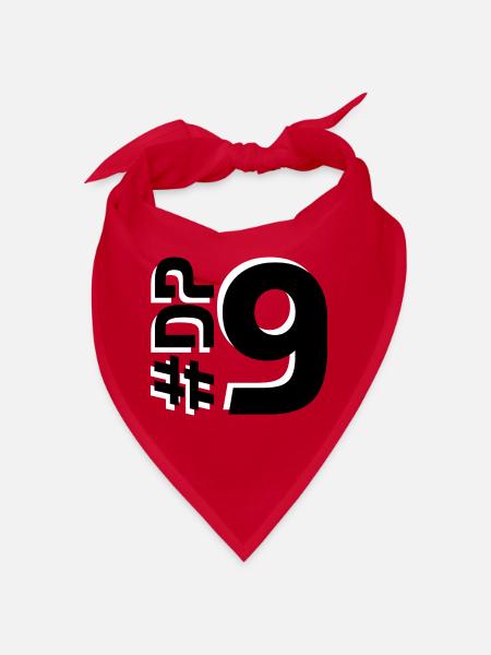 DP9-KARTON - Bandana - Rot - Vorne