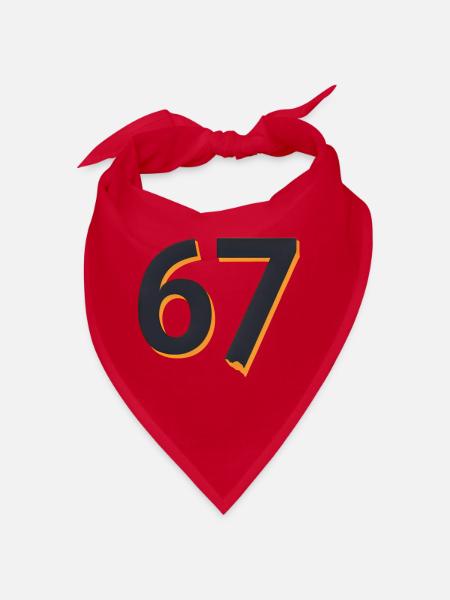6 7 – Flämische Jugendwortgestaltung - Bandana - Rot - Vorne