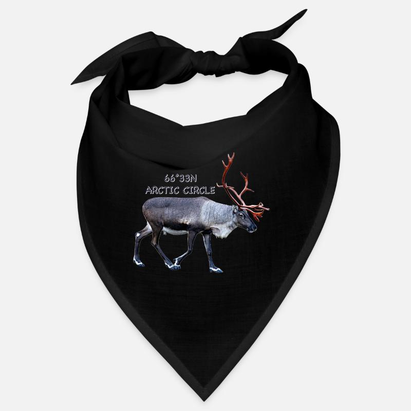 Cercle arctique Bandana