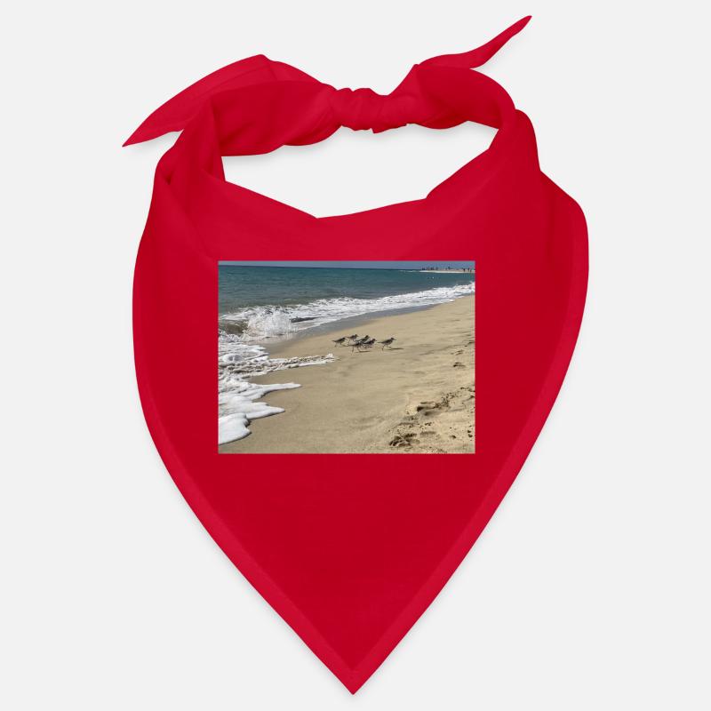 Run Bird run Bandana