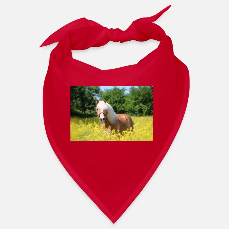 Haflinger im Raps Bandana