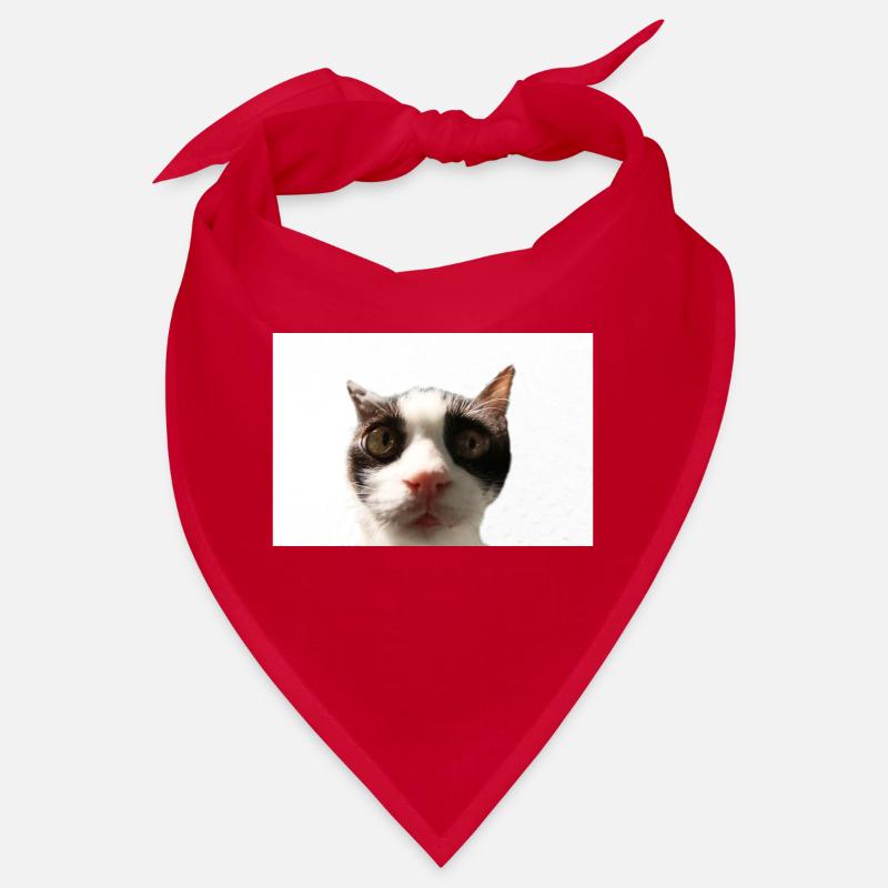 Katze Bandana