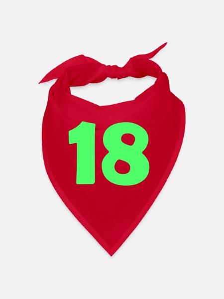 18 - Bandana - Rot - Vorne