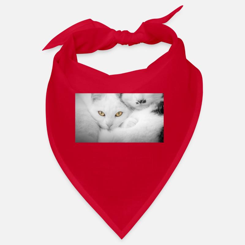 Chats Bandana