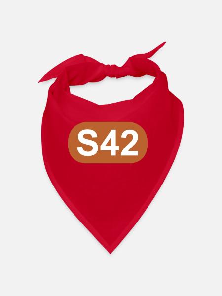 S-Bahn Berlin S42 - Bandana - Rot - Vorne