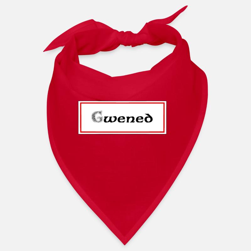 Gwened Vannes Bandana