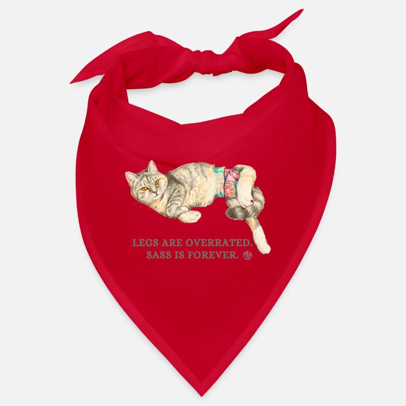 Les jambes sont surestimées pour le chat Bandana