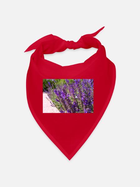 Vibrant Purple Salvia Flowers - Bandana - Rot - Vorne