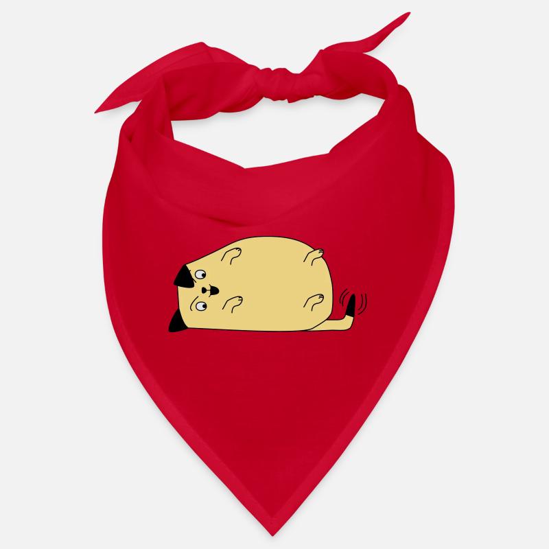 Chien regarde sa queue Bandana