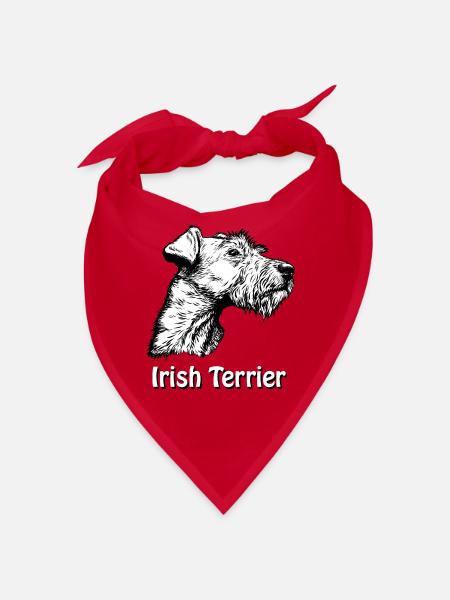 Irish Terrier Portrait - Bandana - Rot - Vorne