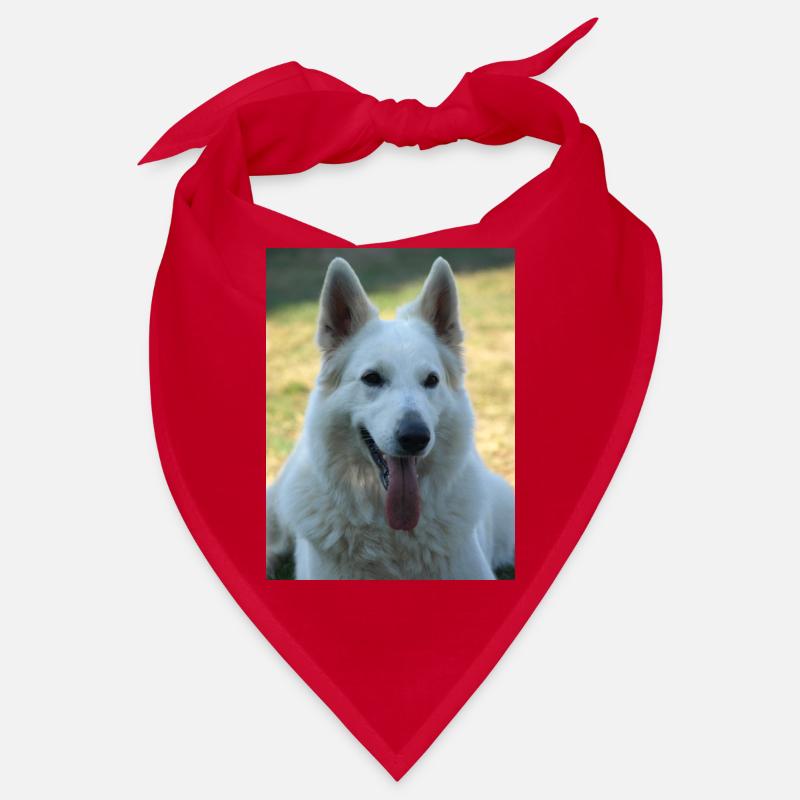 Beauté blanche Bandana