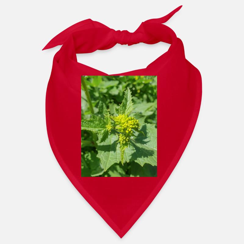 black mustard (in german Schwarzer Senf) Bandana