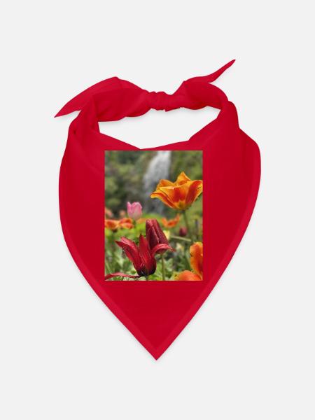Tulips colorful - Bandana - red - Front