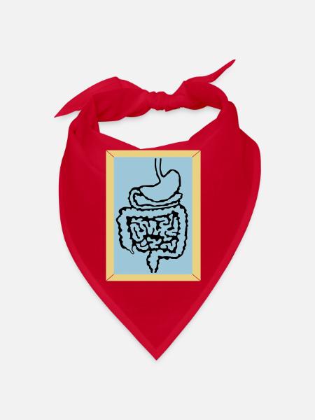 medizinischer Darm 2 d1 - Bandana - Rot - Vorne