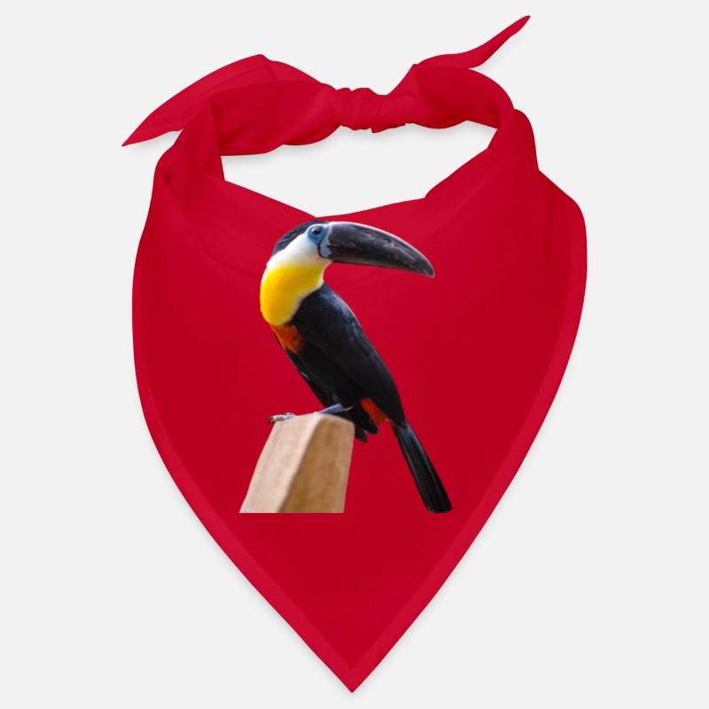 oiseaux long bec Bandana