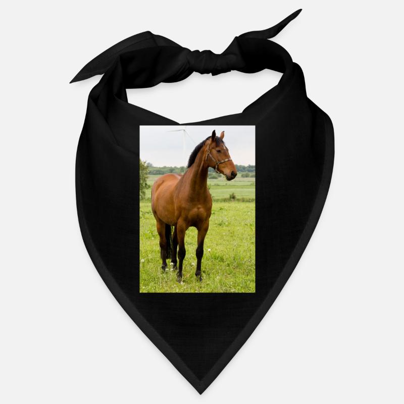 Cheval. Cheval. Bandana